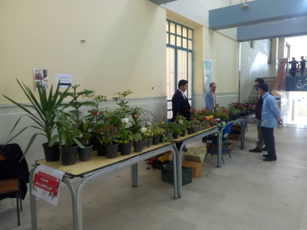 جشنواره گل و گیاهان زینتی